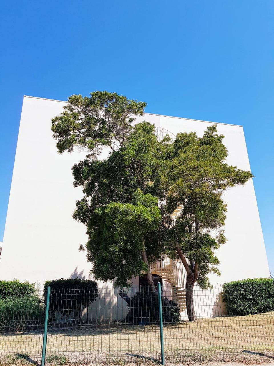 Studio Calme Avec Parking Et Ascenseur -304- Canet-en-Roussillon Exterior photo